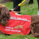 Image: Medical Detection Dogs/Agenda Screening Services